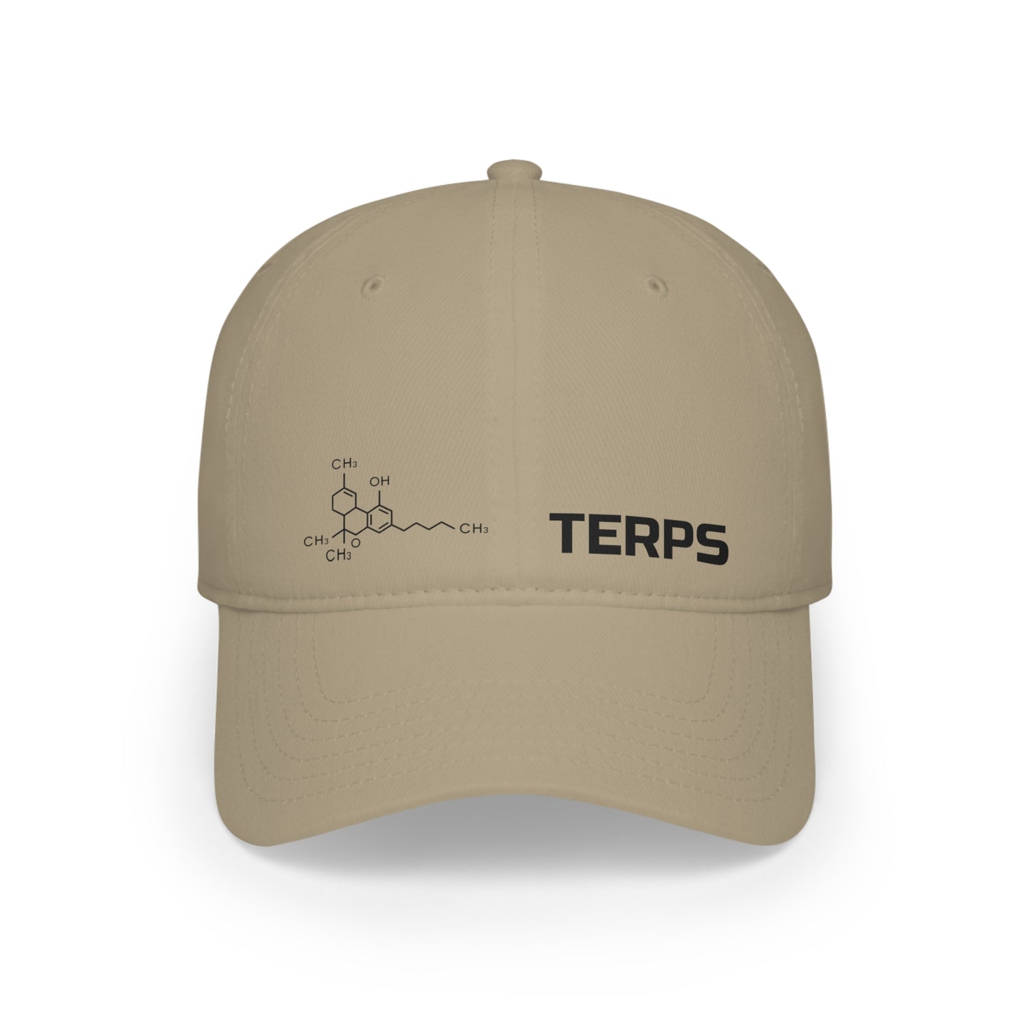 TERPS - Low Profile Baseball Cap