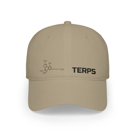 TERPS - Low Profile Baseball Cap