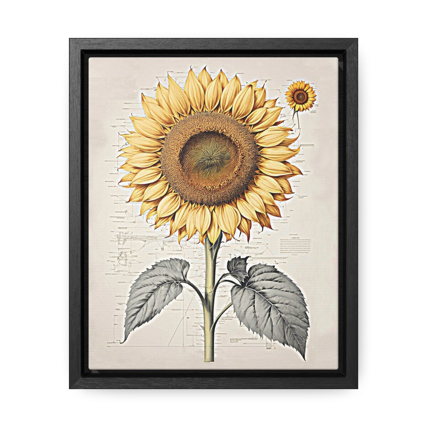 SUNFLOWER - Gallery Canvas Wraps, Vertical Frame