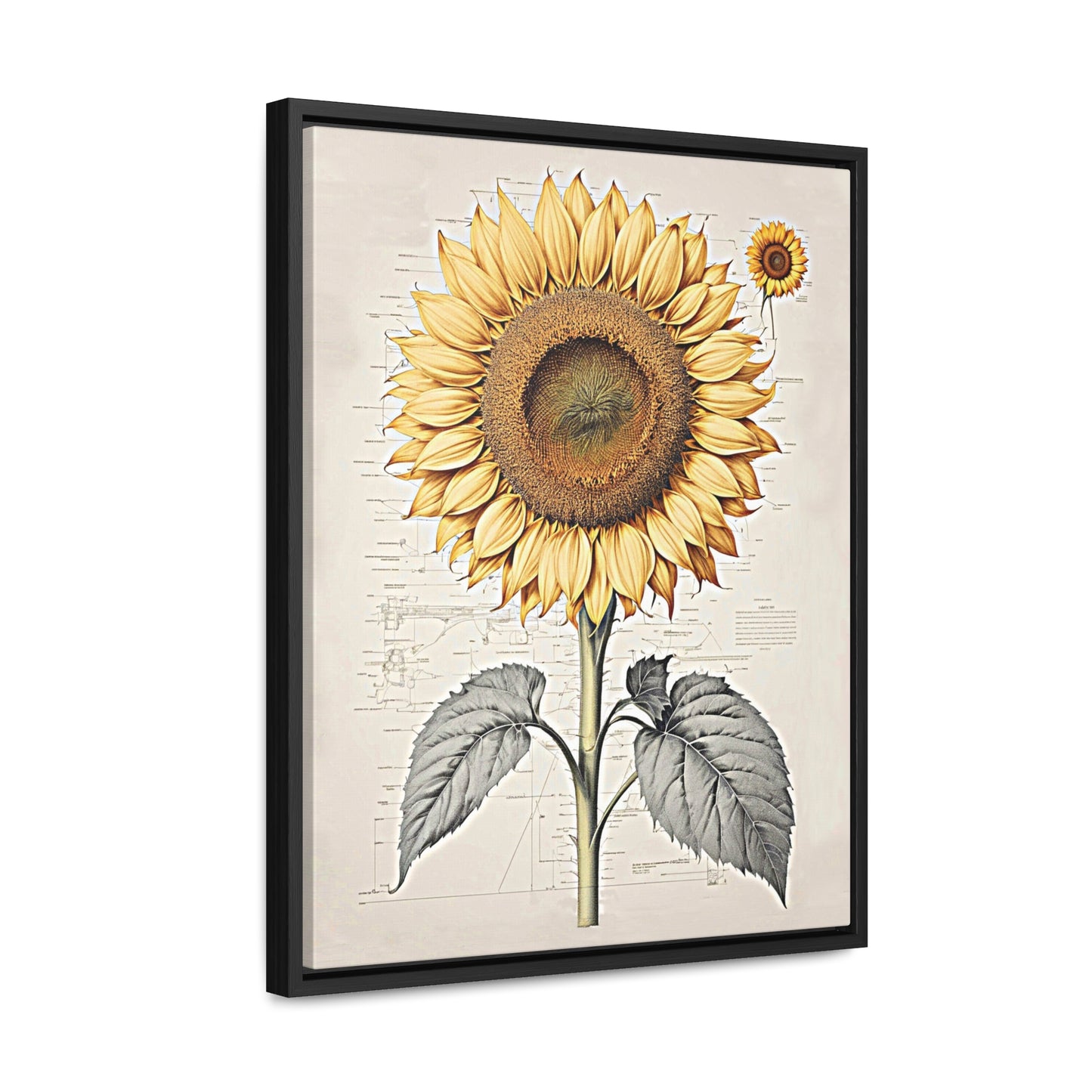 SUNFLOWER - Gallery Canvas Wraps, Vertical Frame