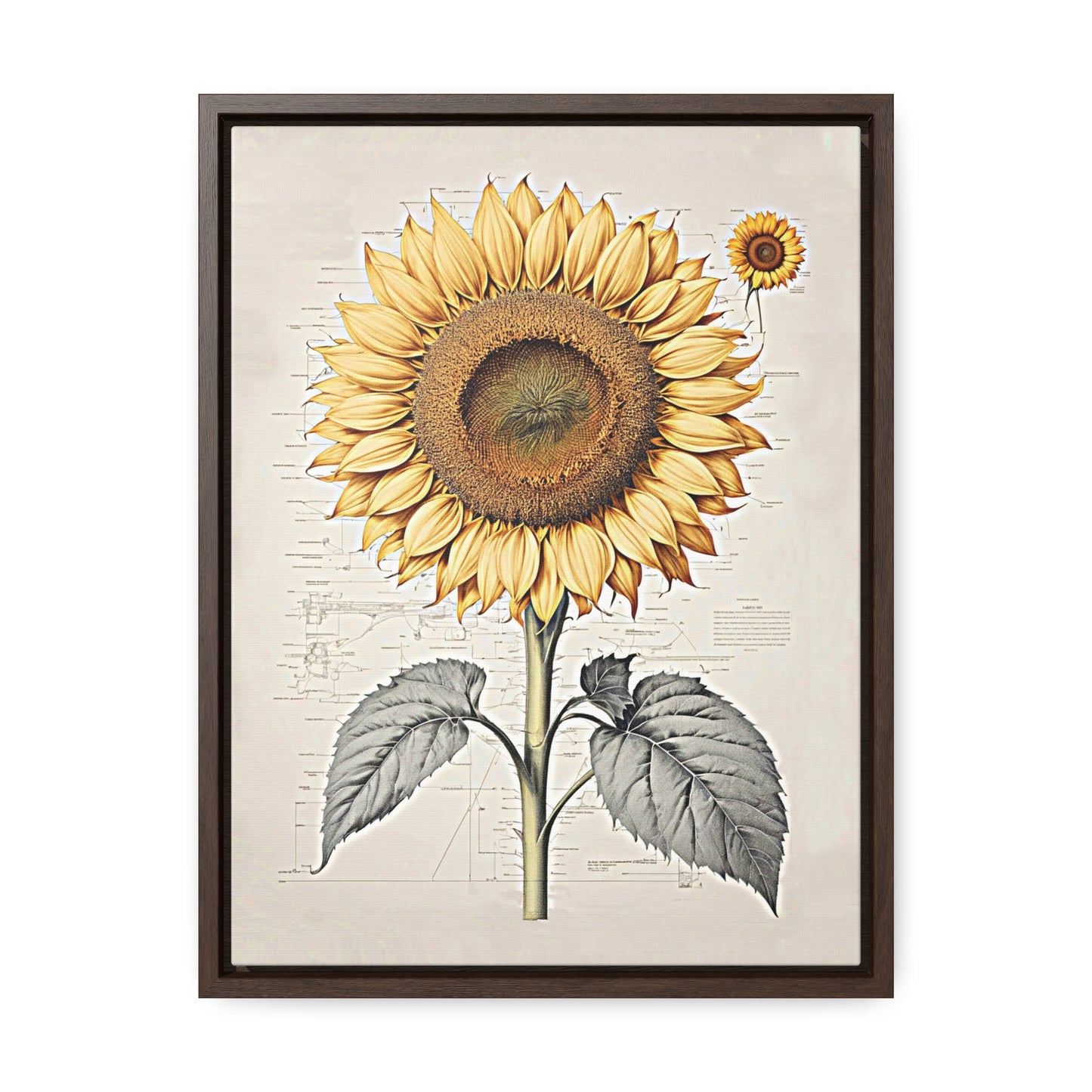 SUNFLOWER - Gallery Canvas Wraps, Vertical Frame