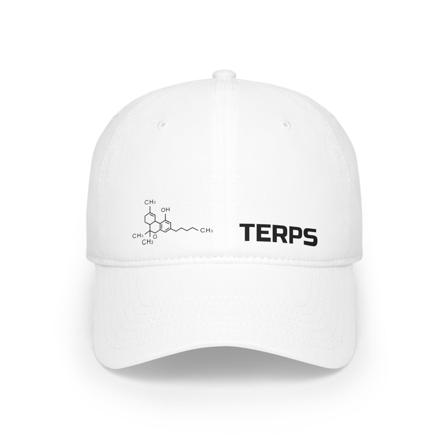 TERPS - Low Profile Baseball Cap