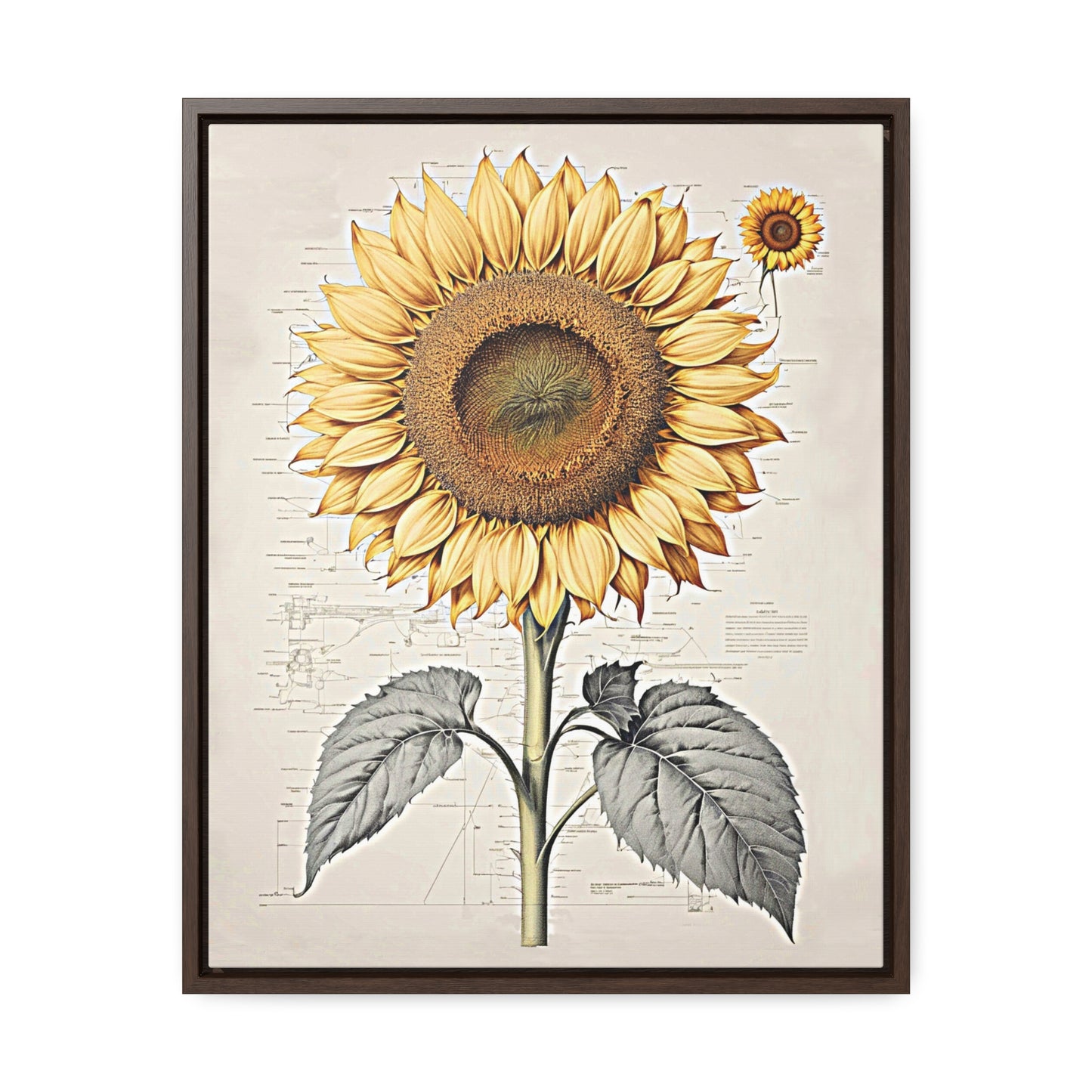 SUNFLOWER - Gallery Canvas Wraps, Vertical Frame