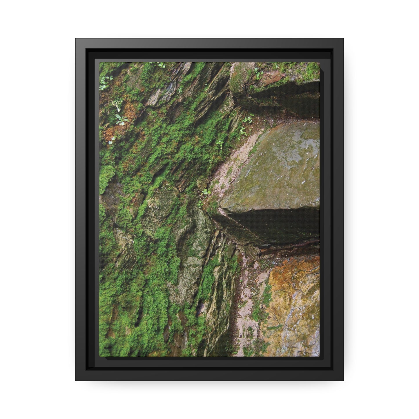 MOSSY STAIRCASE - Matte Canvas, Black Frame