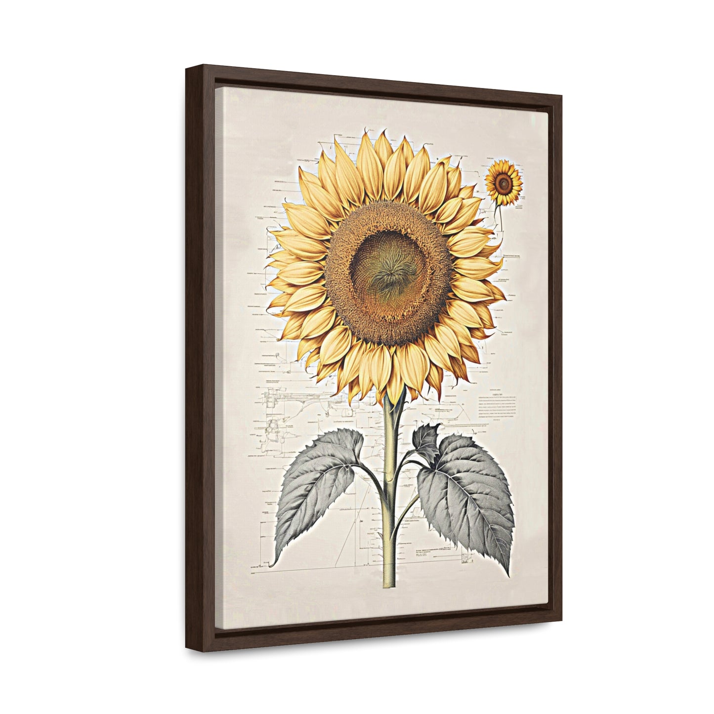 SUNFLOWER - Gallery Canvas Wraps, Vertical Frame