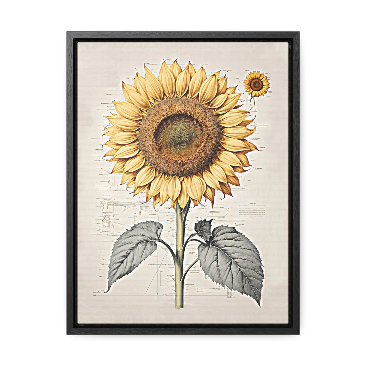 SUNFLOWER - Gallery Canvas Wraps, Vertical Frame