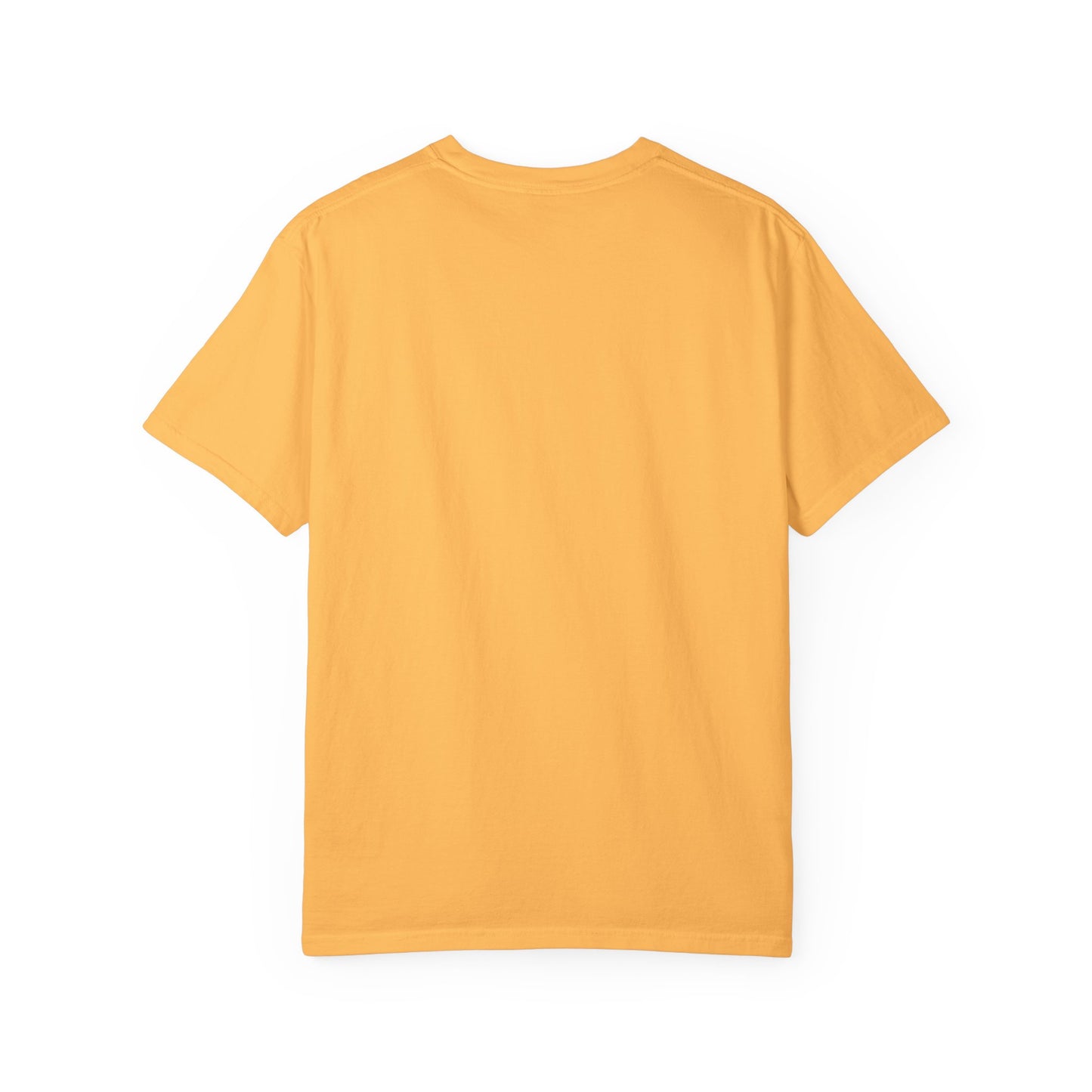 REHOBOTH 3 - Unisex Garment-Dyed T-shirt