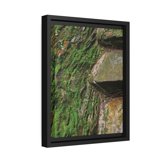 MOSSY STAIRCASE - Matte Canvas, Black Frame