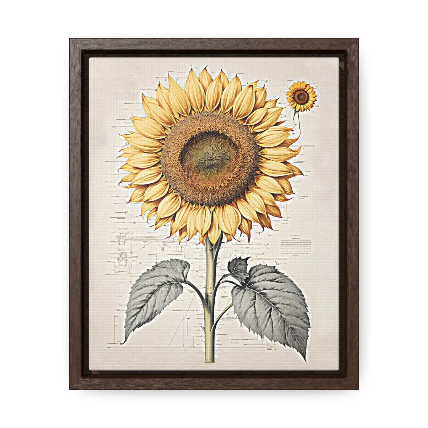 SUNFLOWER - Gallery Canvas Wraps, Vertical Frame