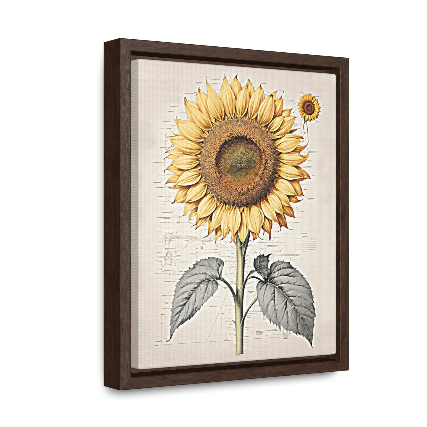 SUNFLOWER - Gallery Canvas Wraps, Vertical Frame