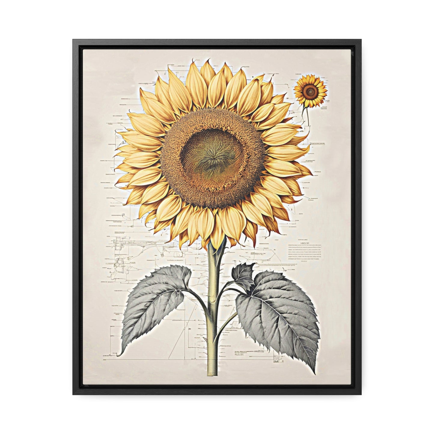 SUNFLOWER - Gallery Canvas Wraps, Vertical Frame