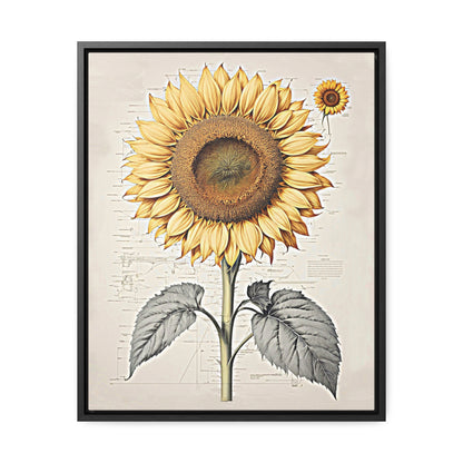 SUNFLOWER - Gallery Canvas Wraps, Vertical Frame